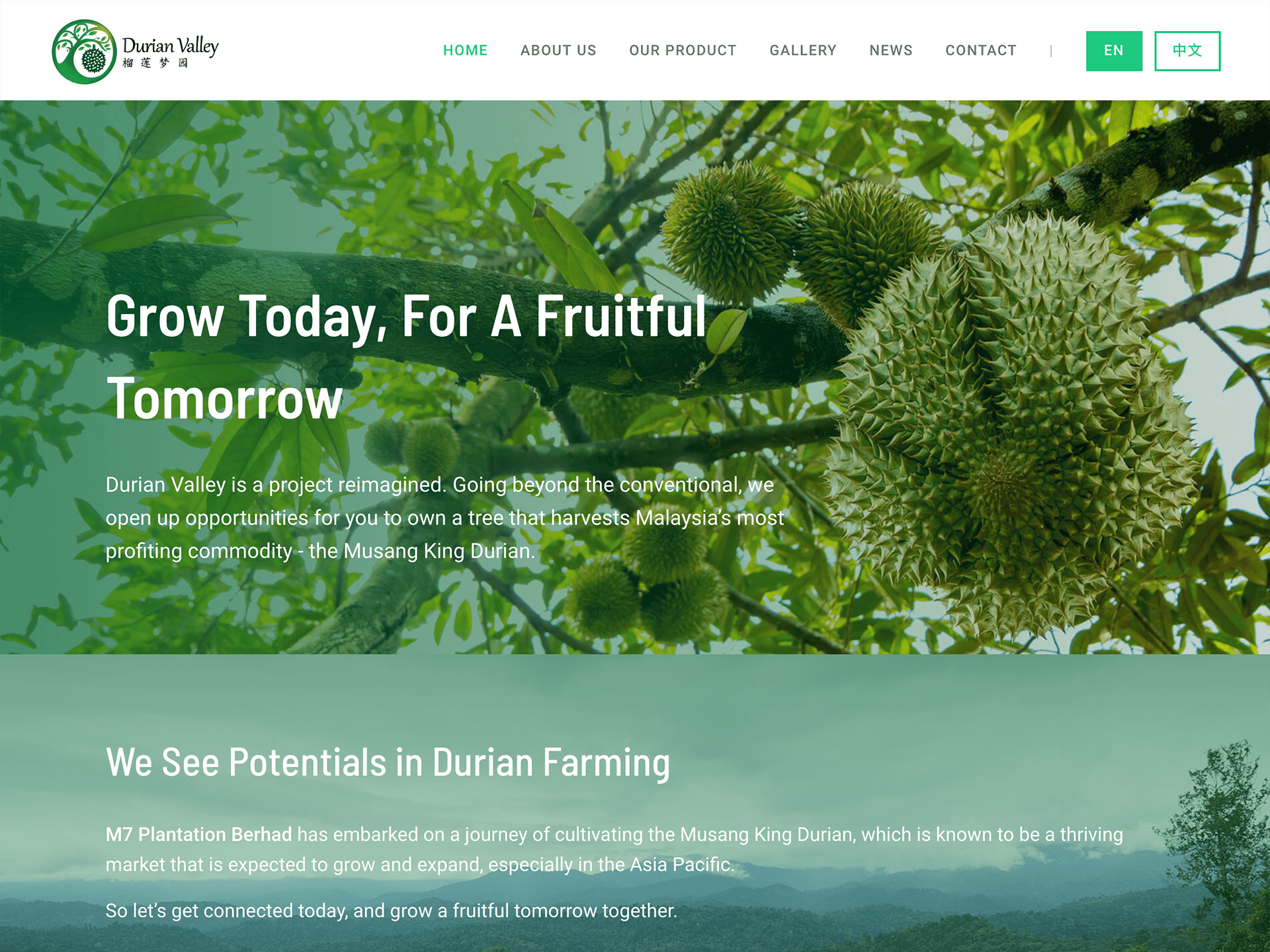 Durian Valley website